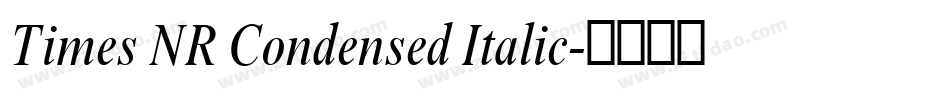 Times NR Condensed Italic字体转换